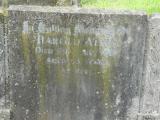 image of grave number 206685